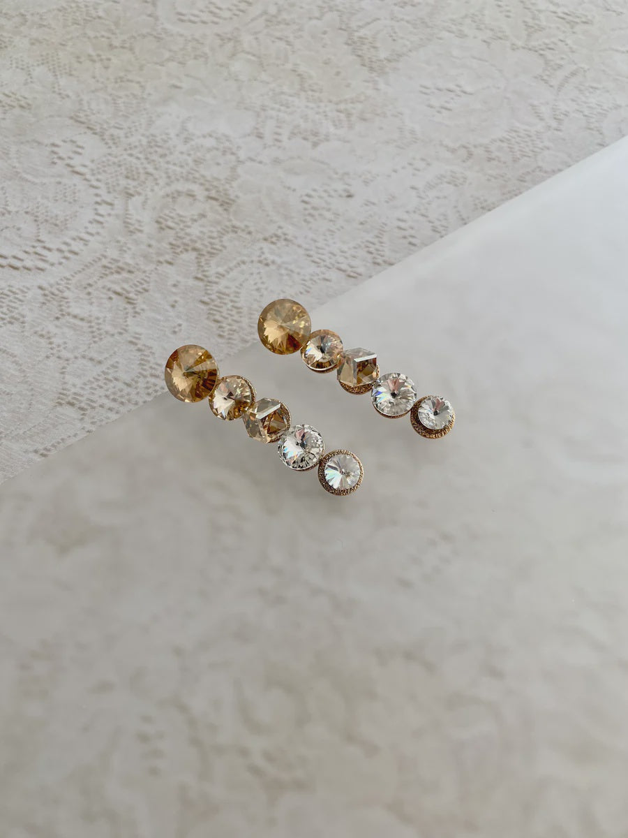 Swarovski Money Bags Earrings