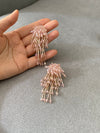 Succulent Earrings