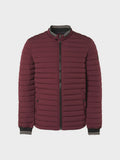 No Excess Short Fit Padded Jacket -  Dark Red