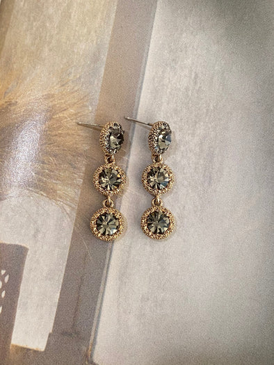 Encrusted Riches Earrings