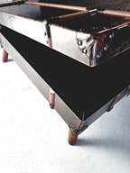 COFFEE TABLE - CROCODILE SKIN (faux) TRUNK
