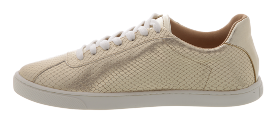 Gold Snakeskin Sneaker (runs small)