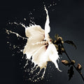 Release - Glass Art